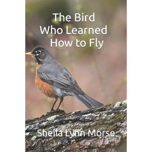 The Bird Who Learned How to Fly