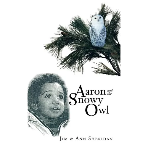 Aaron and the Snowy Owl