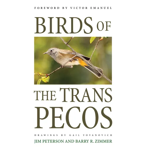 Birds of the Trans-Pecos