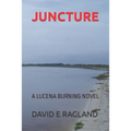 Juncture: A Lucena Burning Novel