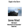 Eagle in the Storm: Bob Steck's 'adventures of a spymaster' - Book One