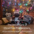 Veli's Adventures: The Adventure of Christmas Preparations